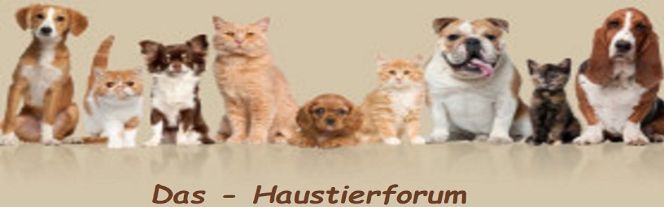 das-haustierforum.de