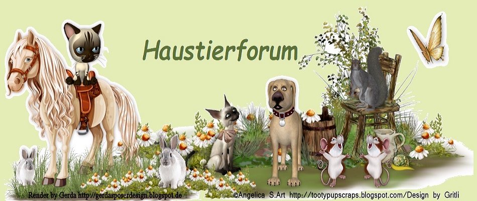 das-haustierforum.de